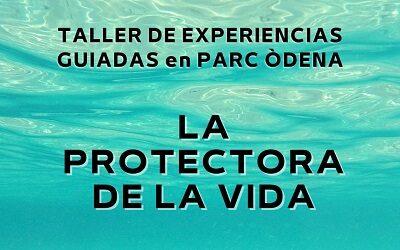 Taller de experiencias guiadas