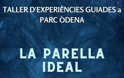 Taller d’experiències guiades: La parella ideal