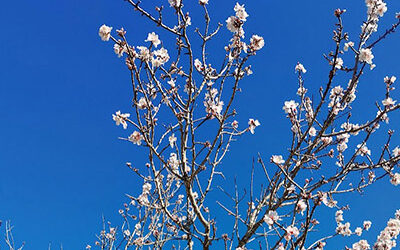 22M. Trobada estacional de primavera